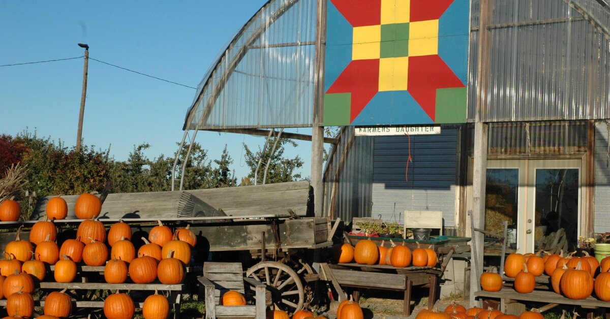 The Country Barn Quilt Trail in Orleans County is headquartered at